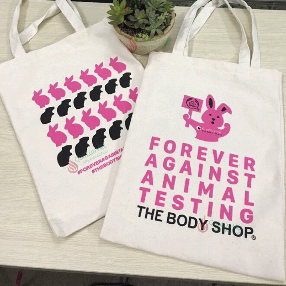 Túi Vải Không Dệt